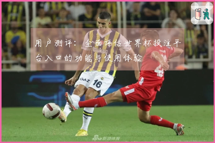 用户测评：全面评估世界杯投注平台入口的功能与使用体验