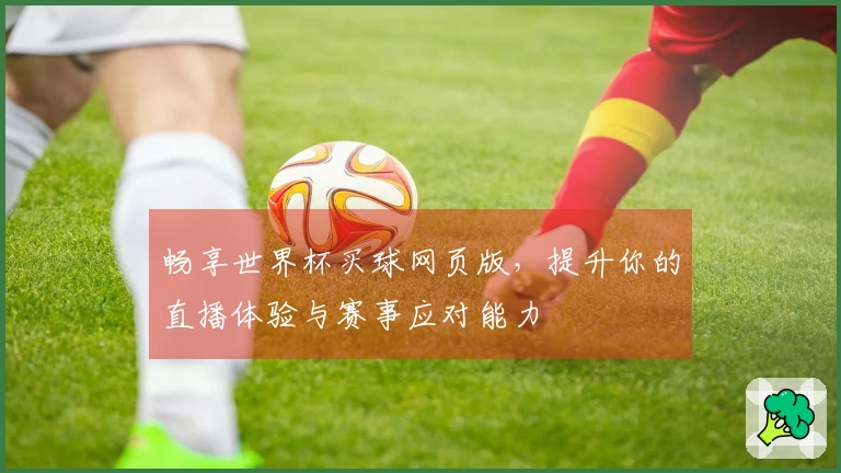 畅享世界杯买球网页版，提升你的直播体验与赛事应对能力