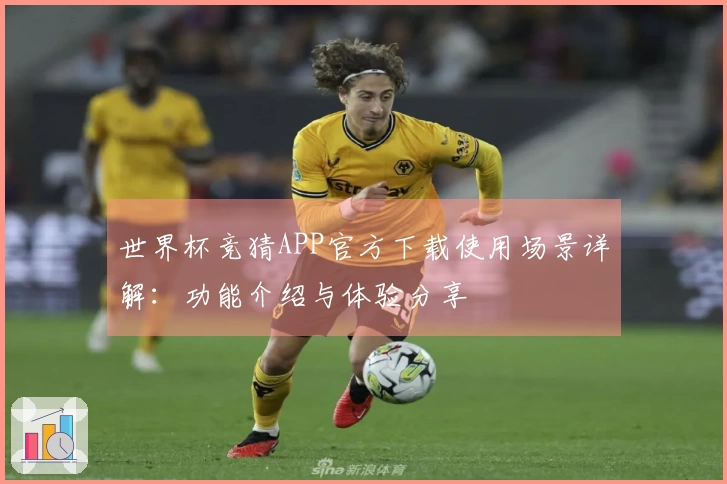 世界杯竞猜APP官方下载使用场景详解：功能介绍与体验分享