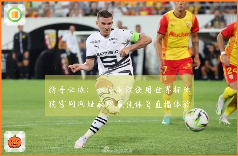 新手必读：如何高效使用世界杯竞猜官网网址获取最佳体育直播体验
